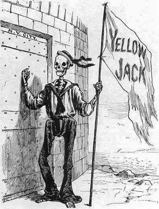 Yellow Jack